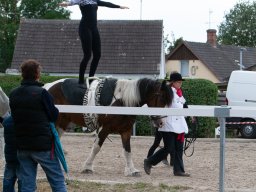 IMG_7962_web